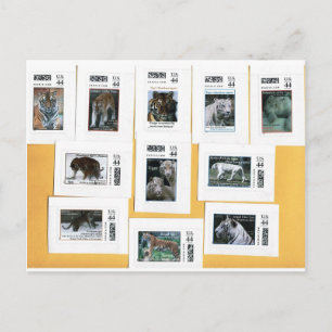 Carte Postale Tigres des 4 couleurs