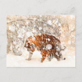 Carte Postale Tigres d'hiver