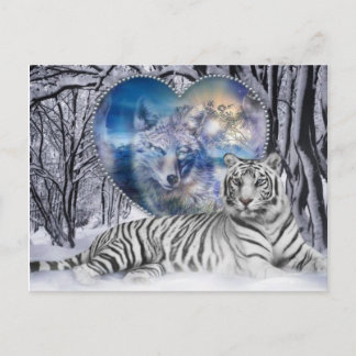 Carte Postale tigron