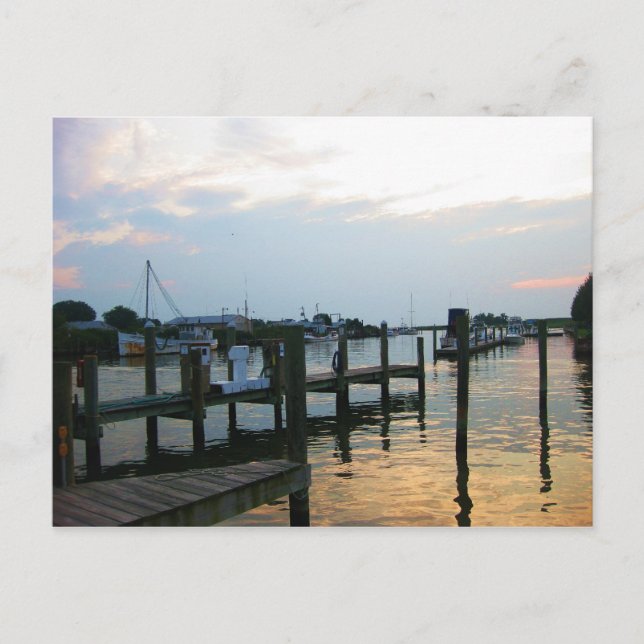 Carte Postale Tilghman Island, MD (Devant)