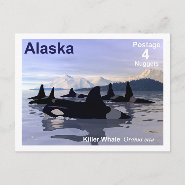 Carte Postale Timbre des baleines tueuses de l'Alaska (Devant)