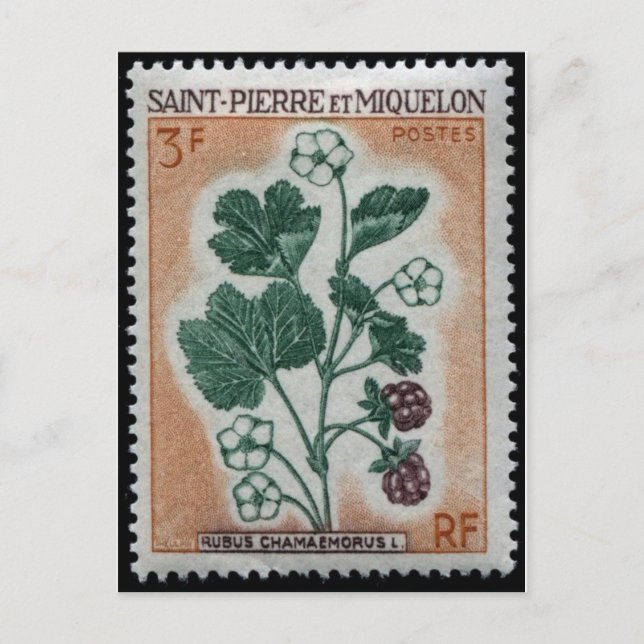 Carte postale Timbre gravé vintage (Devant)