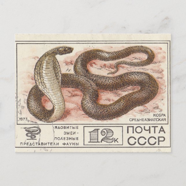 Carte Postale Timbre postal soviétique cobra d'asie centrale (Devant)