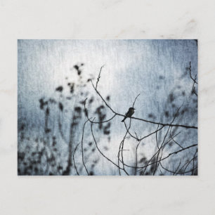 Carte Postale Tiny Bird Silhouette Postcard