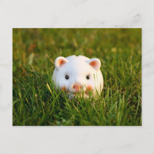 Carte Postale Tirelire