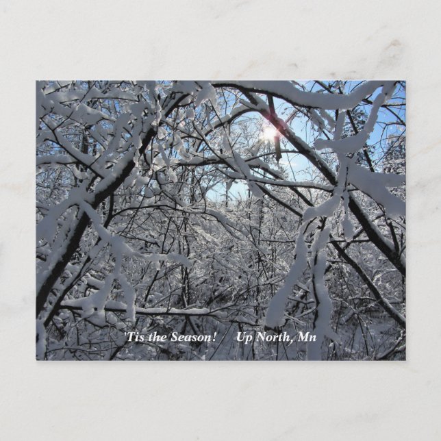 Carte Postale 'Tis Season Up North, Mn Winter Holiday (Devant)