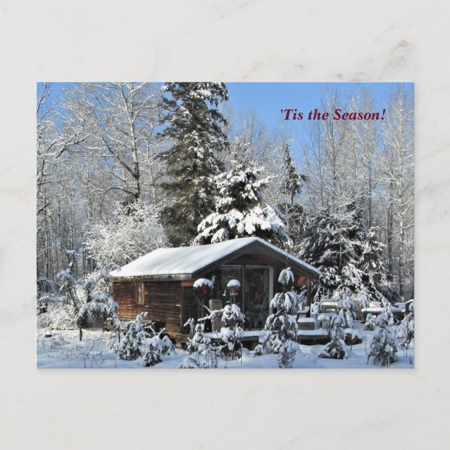 Carte Postale 'Tis Season Up North, Mn Winter Holiday (Devant)
