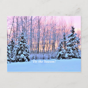 Carte Postale 'Tis Season Up North, Mn Winter Holiday