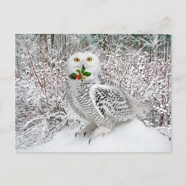 Carte Postale "T'is the Season" (Devant)