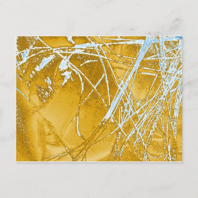 Carte Postale tissu chromé (Devant)