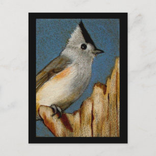 CARTE POSTALE TITMOUSE TUFÉE EN PENCIL DE COULEUR