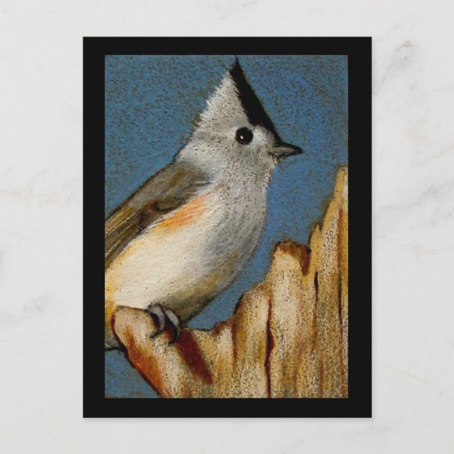 CARTE POSTALE TITMOUSE TUFÉE EN PENCIL DE COULEUR (Devant)