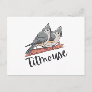 Carte Postale Titsouris Tufted Titsouris mignonette Cadeau Oisea