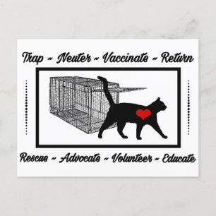 Carte Postale TNR Secourt Cat Piège Neuter Retour Adopter Volont