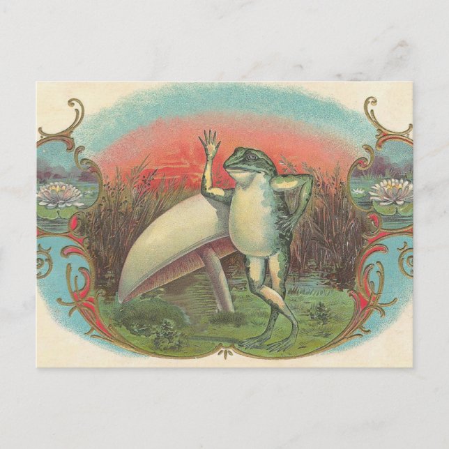 Carte Postale Toad et champignons (Devant)