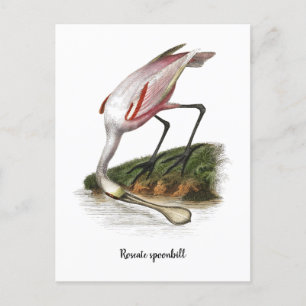 Carte Postale Toile de cuillère à feuilles de rose Petite