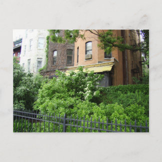 Carte Postale Toit et jardin jaune