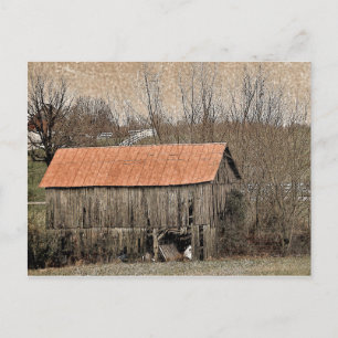 Carte Postale Toit rouge