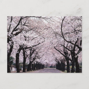 CARTE POSTALE TOKYO