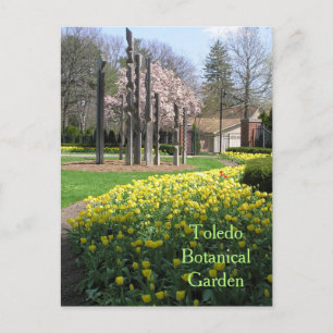 carte postale/TOLEDO JARDIN BOTANIQUE/TULIPS JAUNE