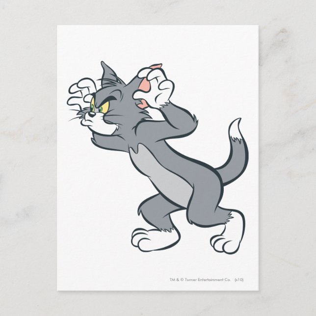 Carte Postale Tom prêt (Devant)