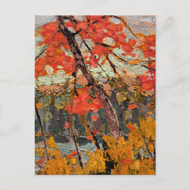Carte Postale Tom Thomson - Twisted Maple (Devant)