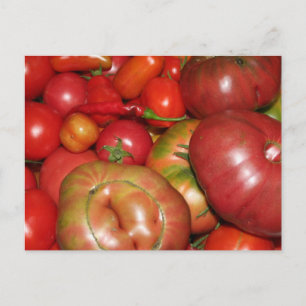 Carte postale tomate
