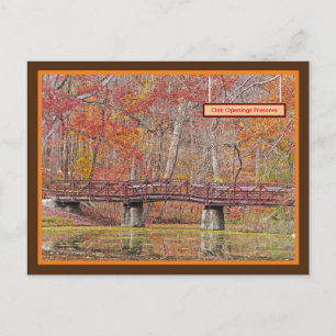 CARTE POSTALE TOMBER À OAK OUVERINGS PRESERINGS, TOLEDO OHIO ARE