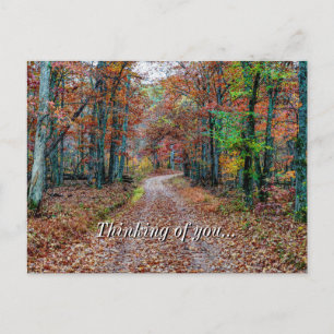 Carte Postale Tomber Sur La Route De La Dirt Penser À Votre Cart