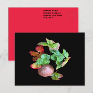 Carte Postale Tombez dans la saison des fraises Jardin de cour a