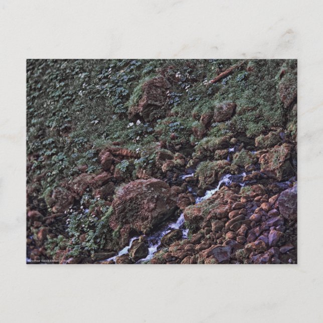 Carte Postale ToneTerre (Devant)