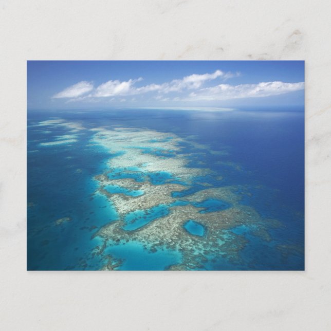 Carte Postale Tongue Reef, Great Barriere Marine Park, (Devant)