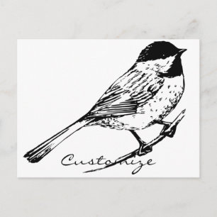Carte Postale Tonnerre de chickadee à calotte noire