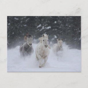 Carte Postale Tonnerre roulant