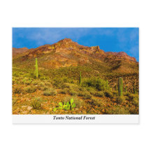 Carte postale Tonto National Forest