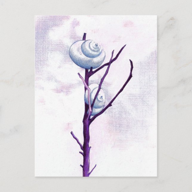 Carte postale Top Snail (Devant)