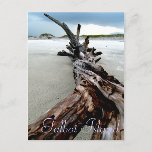 Carte Postale tordu (Devant)