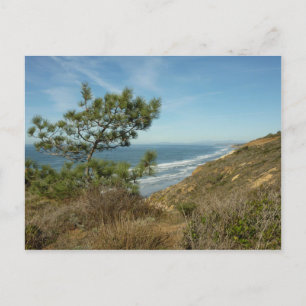 Carte Postale Torrey Pine and California Coastline Landscape