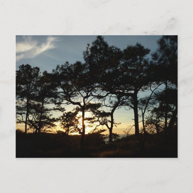 Carte Postale Torrey Pine Sunset II Californie Paysage (Devant)