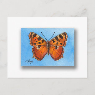Carte postale Tortoise Shell Butterfly