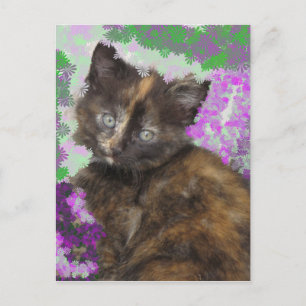 Carte Postale Tortoisshell Kitten en Gris et Fleurs pourpres