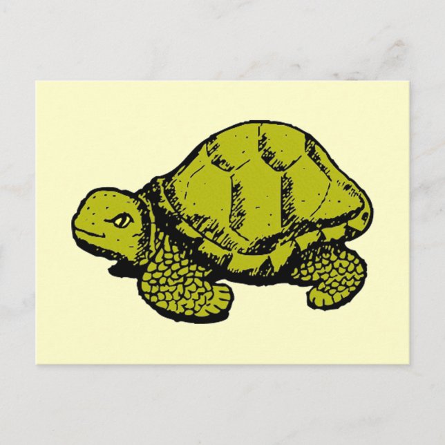 Carte Postale Tortue (Devant)