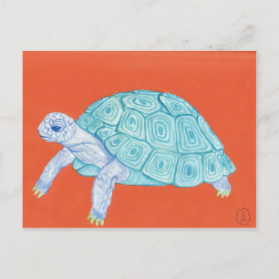 Carte Postale Tortue bleue
