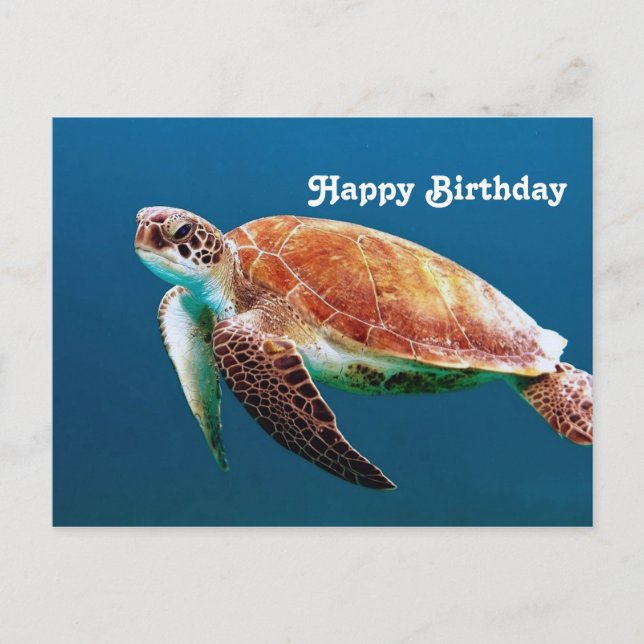 Carte Postale Tortue Bleue Eau Mer Photo Anniversaire (Devant)