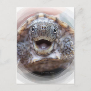 Carte Postale Tortue bouche ronde ouverte cadre rond Mad Musc to