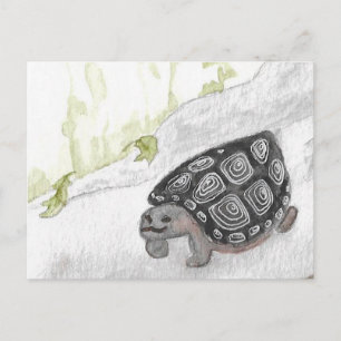 Carte Postale Tortue de l'aquarelle