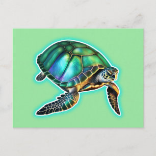 Carte Postale Tortue de mer