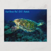 Tortue de mer de Hawksbill Grande barrière récif c