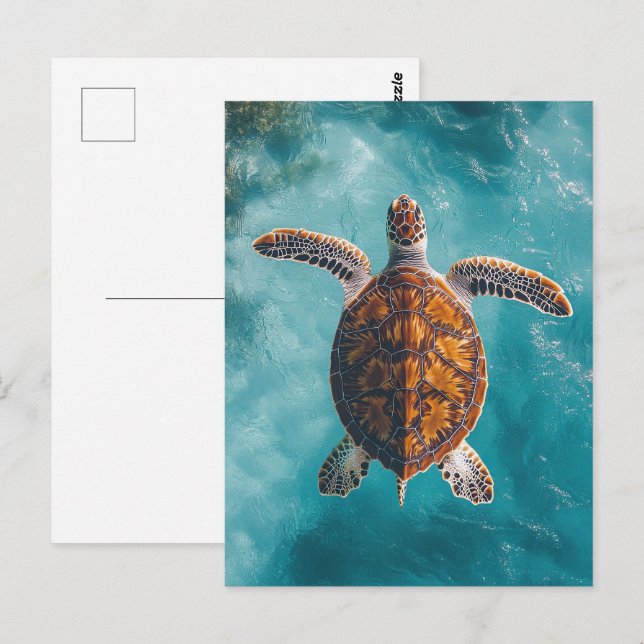 Carte Postale Tortue de mer en Océan Turquoise (Devant / Derrière)
