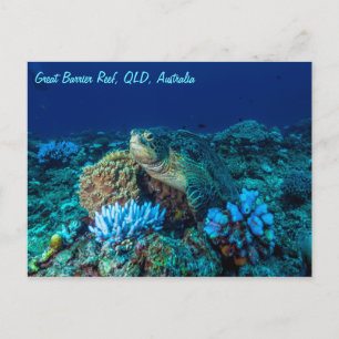 Carte Postale Tortue de mer sur la Grande Barrière de corail